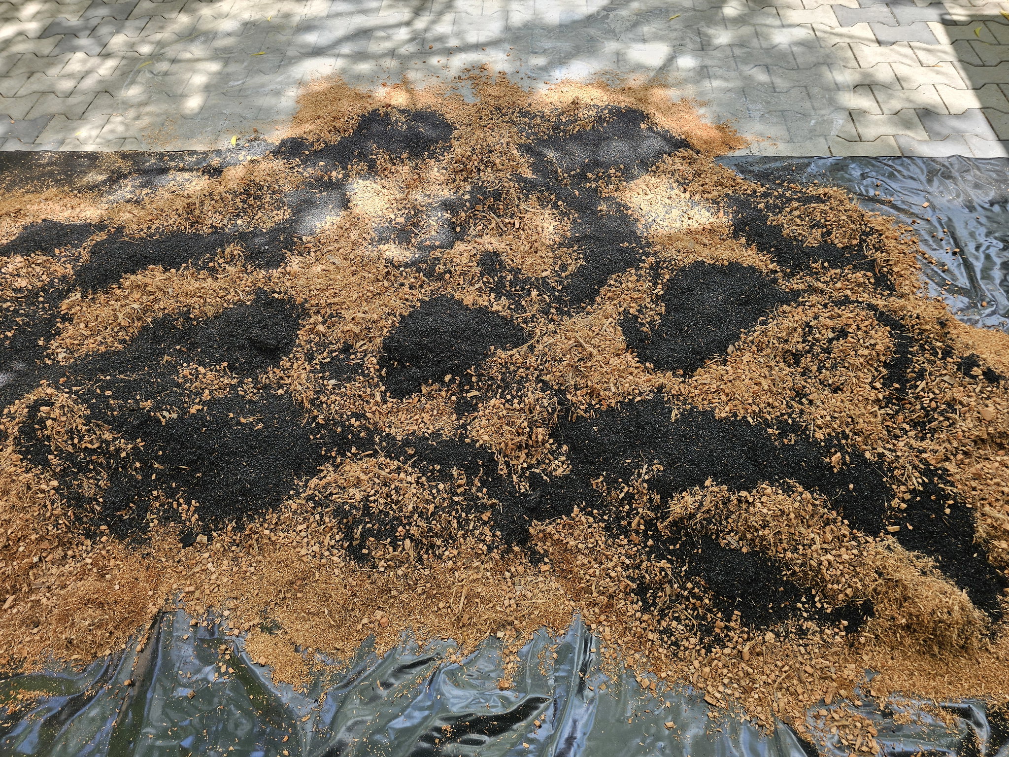 Grow Bag Mixture | 25 KG / 50 KG rice bag equivalent (වගා මාධ්‍ය)_4