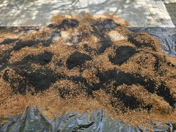 Grow Bag Mixture | 25 KG / 50 KG rice bag equivalent (වගා මාධ්‍ය)