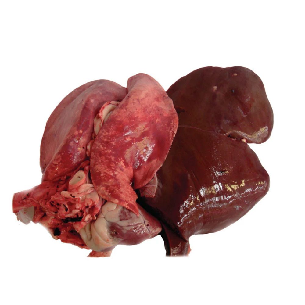 Mutton Organs & Specialty Cuts