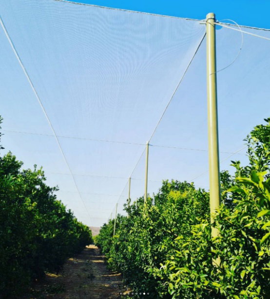 78mm shade net support in-line pole