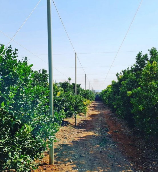78mm shade net support in-line pole_1
