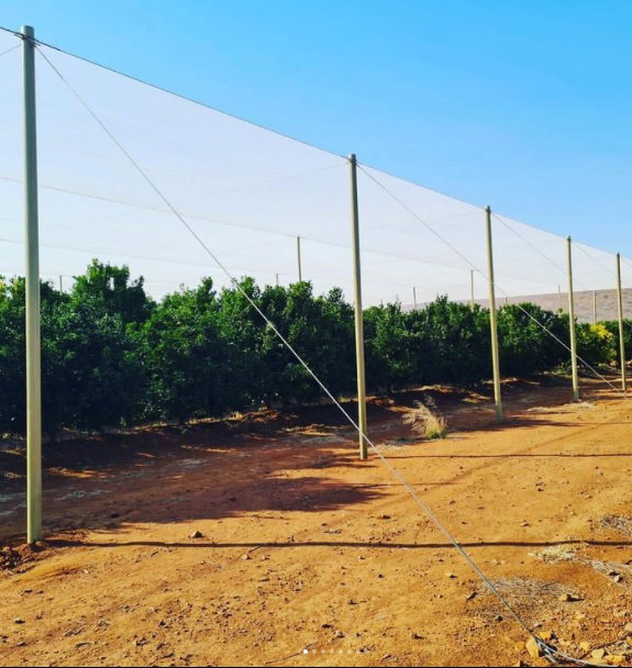 128mm light duty anchor pole for shade net or vineyard (for short rows)
