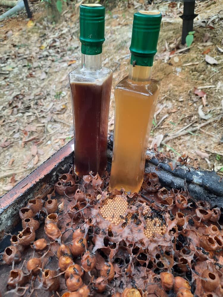 MADU KELULUT DAMIAFROTEC