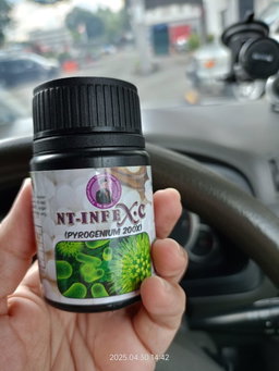 Nt Infex•C