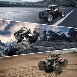 BLUECEDAR RC Racing Car, 2WD High Speed Off Road RC Car