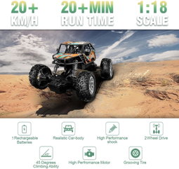 BLUECEDAR RC Racing Car, 2WD High Speed Off Road RC Car