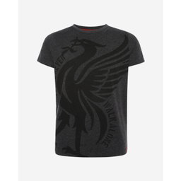 LFC Junior Charcoal Marl Liverbird YNWA Tee (A15099)