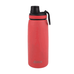 OASIS Stainless Steel Insulated Sports Water Bottles with Straw Cap 780ml