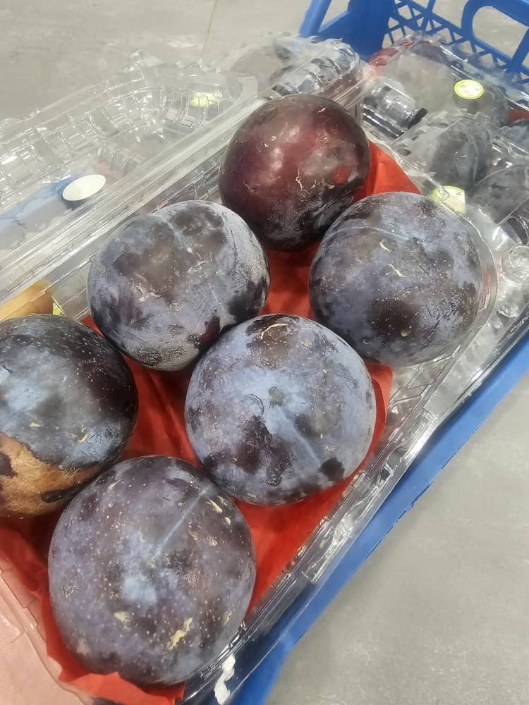 MPS65- Prune خوخ _0
