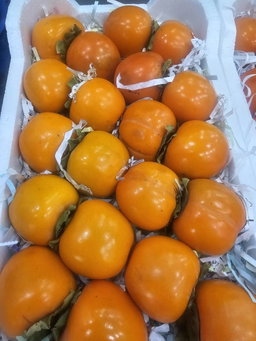 MPS66- Kaki 1kg  خرمة 