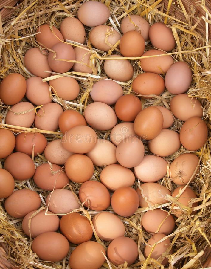 Huevos de Pastoreo 