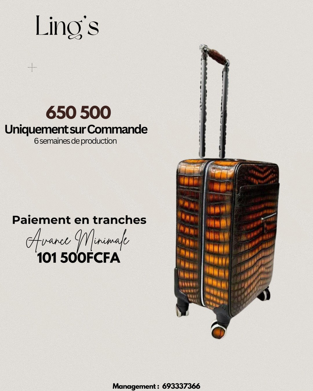 Nos Trolleys en cuir véritable haut de gamme_5