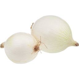 Cebolla