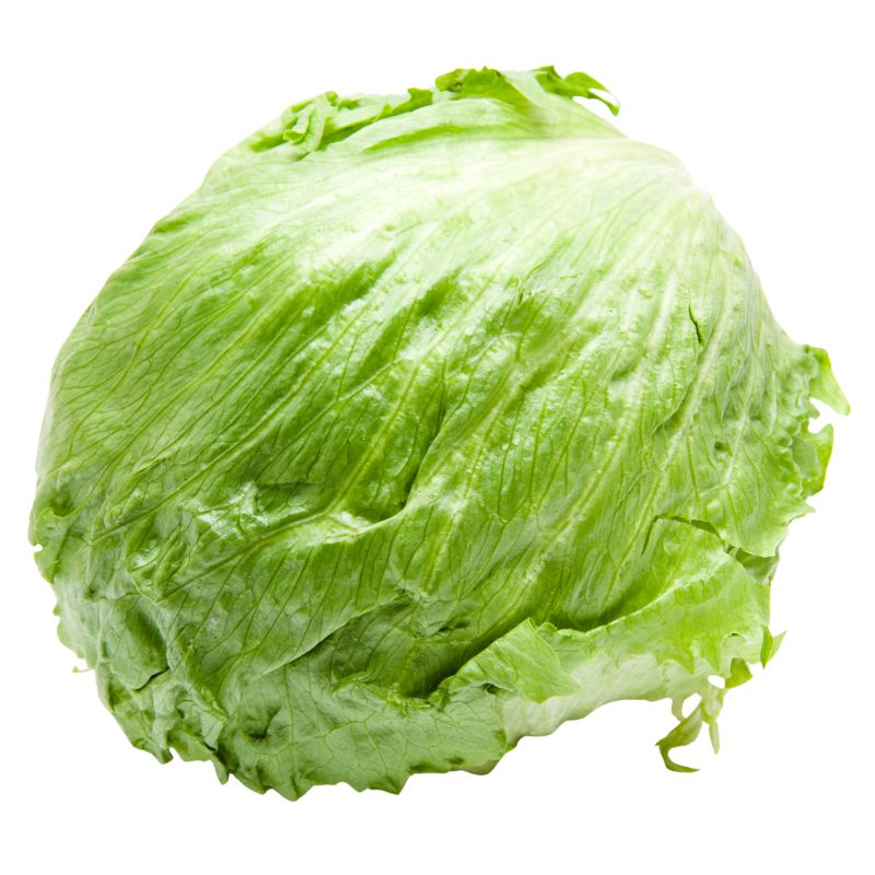 Lechuga Pz