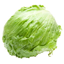 Lechuga Pz