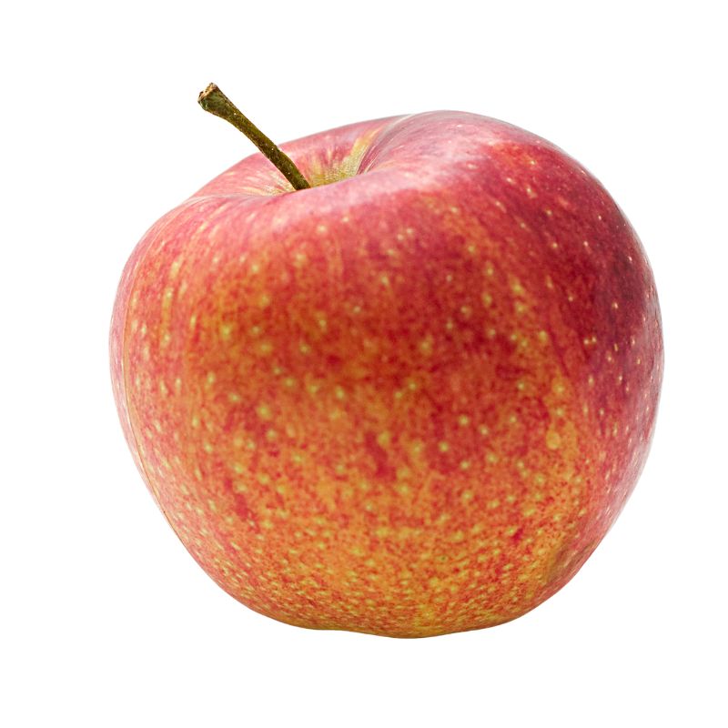 Manzana Gala