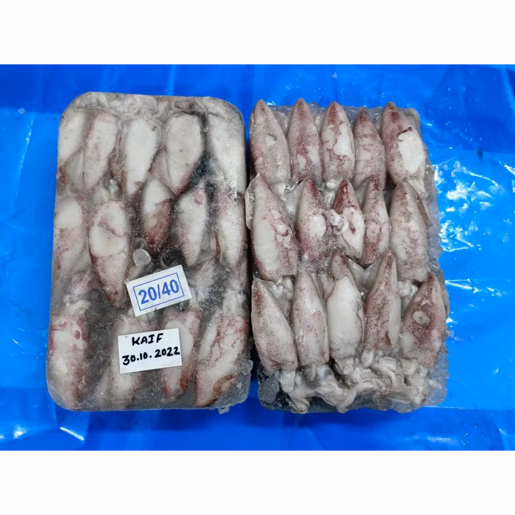 FROZEN SOTONG ( 2KG )  SIZE ( 20/40 , 10/20 , 6/10,  3/6 )_1