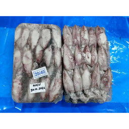 FROZEN SOTONG ( 2KG )  SIZE ( 20/40 , 10/20 , 6/10,  3/6 )