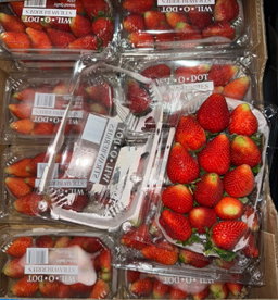 MPS71- Fraises 🍓 فريز 