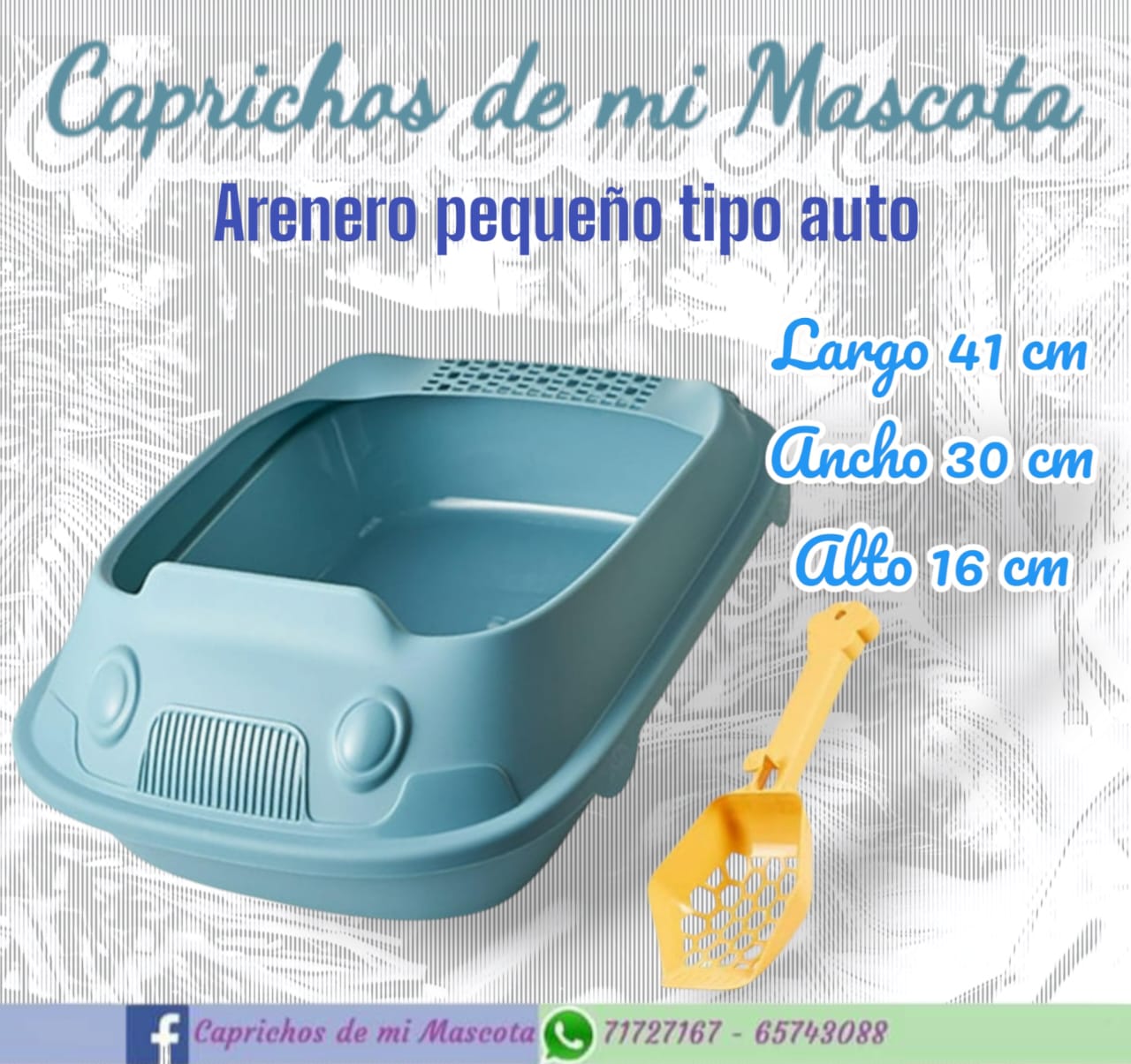 Arenero Pequeño (Tipo Autito)_1