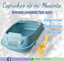 Arenero Pequeño (Tipo Autito)