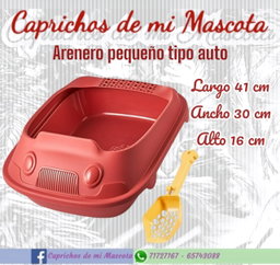 Arenero Pequeño (Tipo Autito)