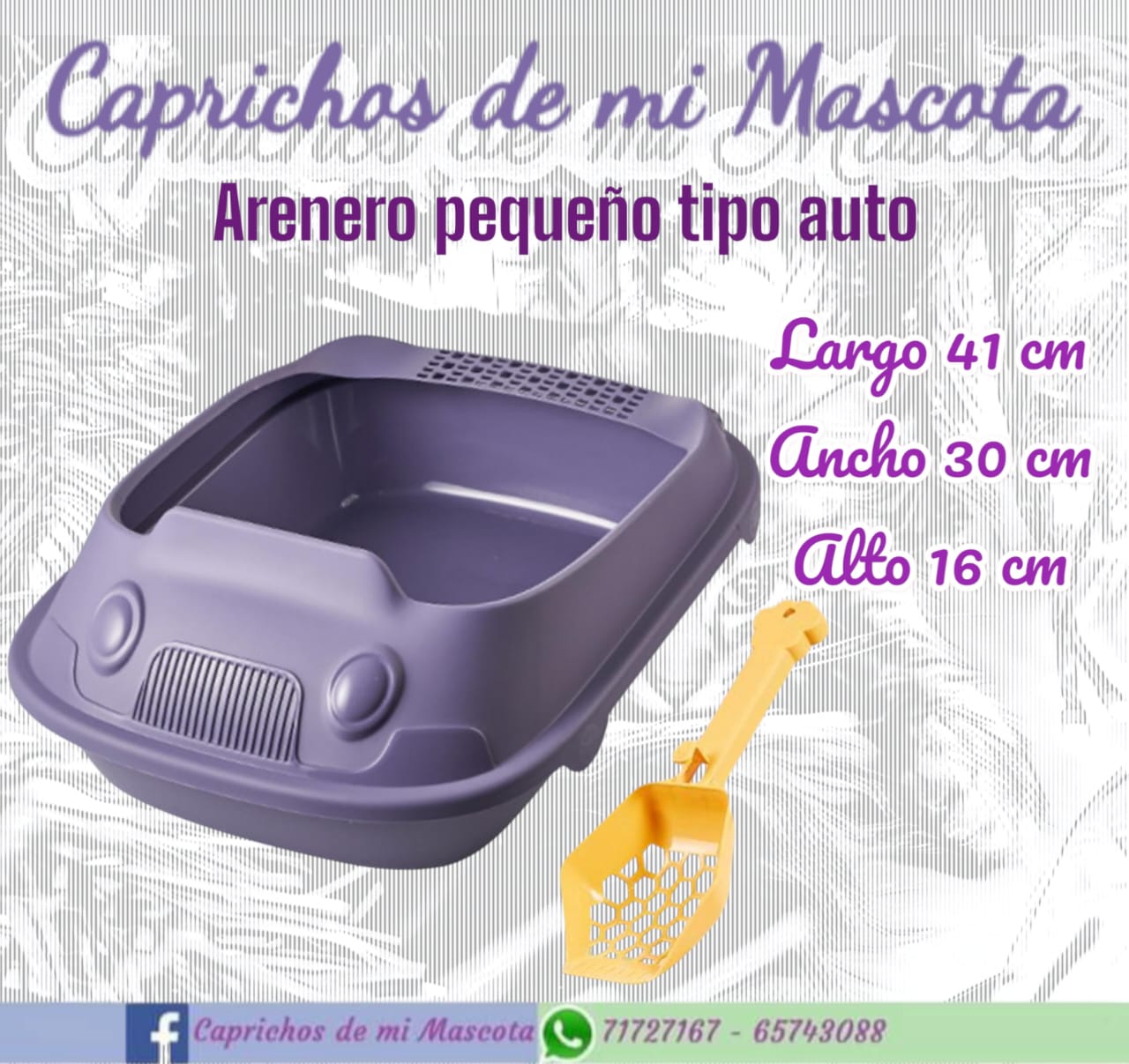 Arenero Pequeño (Tipo Autito)_3