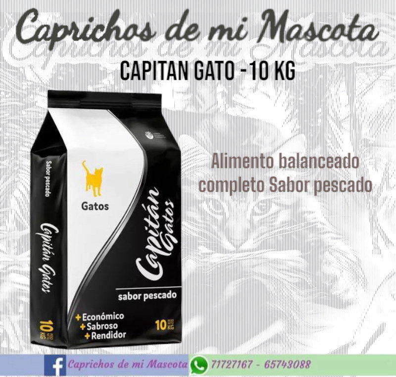 Capitan Gato