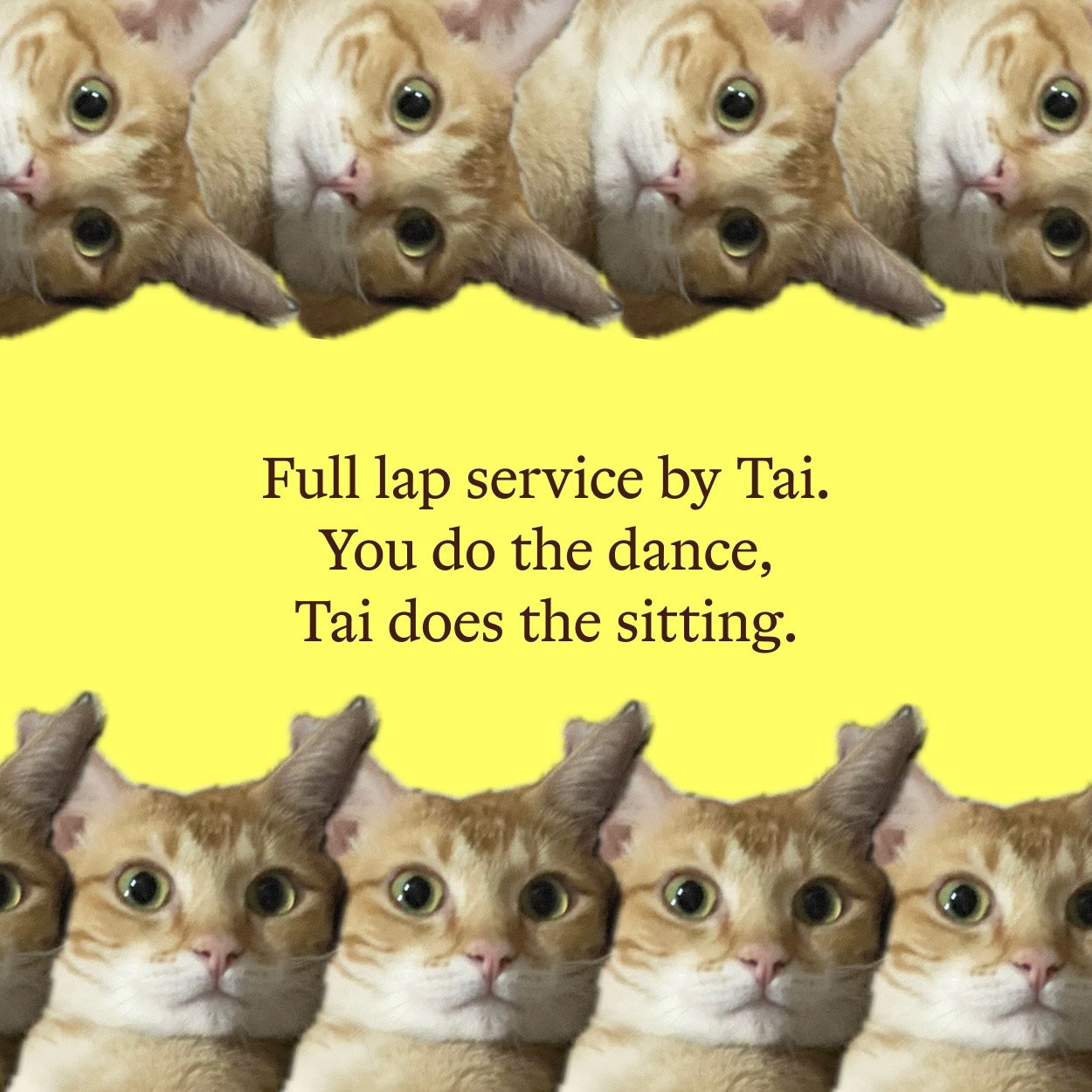 Living' Garfield Dream_0