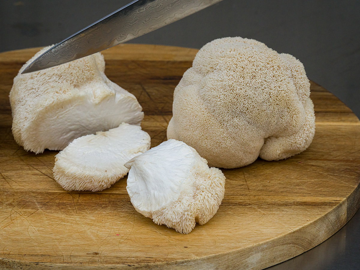Lions Mane / pom pom blanc 1500 gr_0