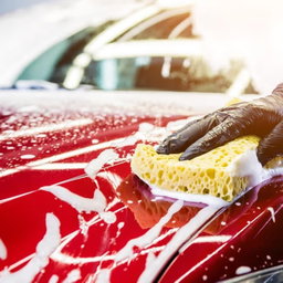 DETAILING SERVICES