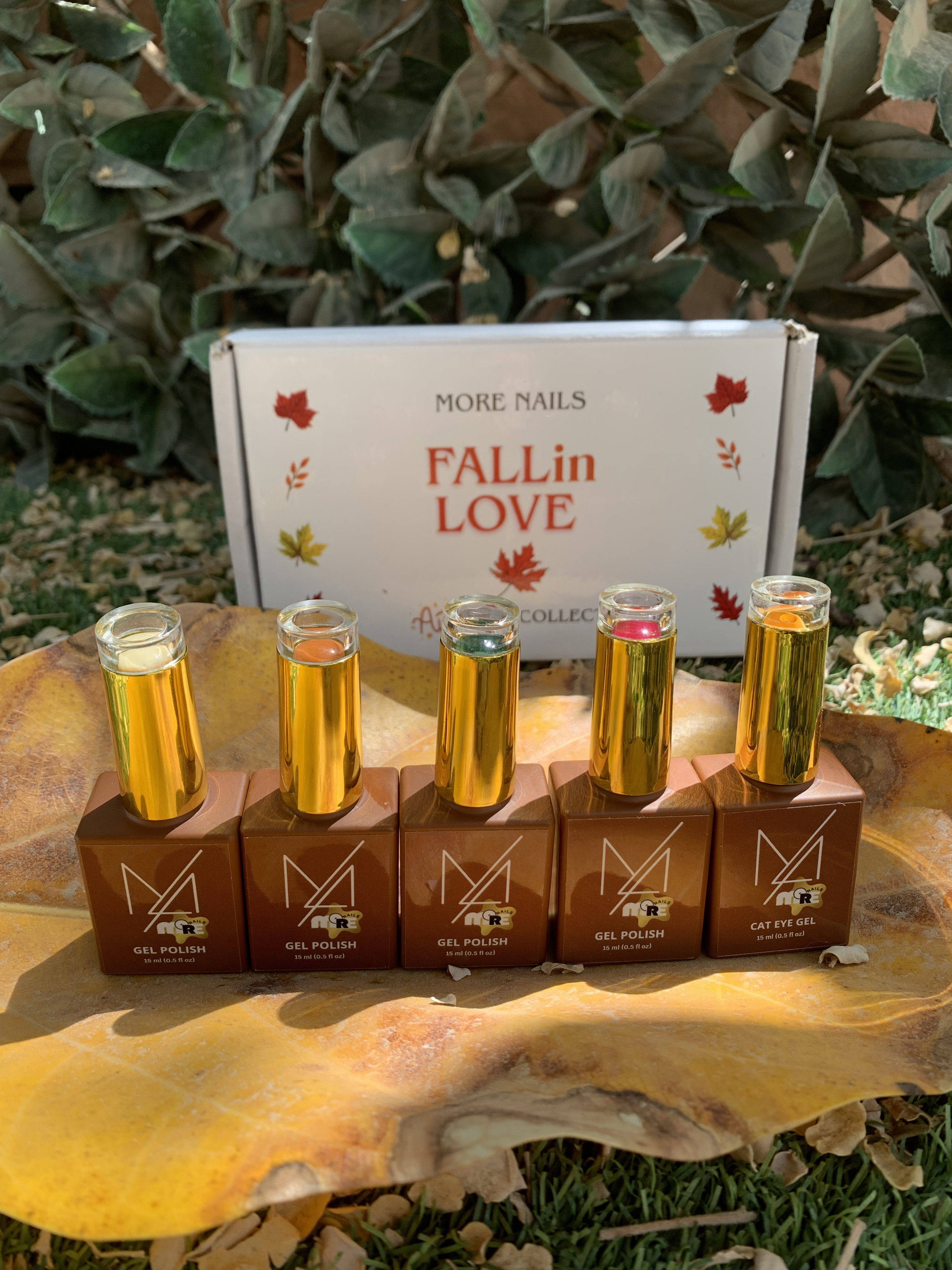 Fall in Love-Autumn Collection 