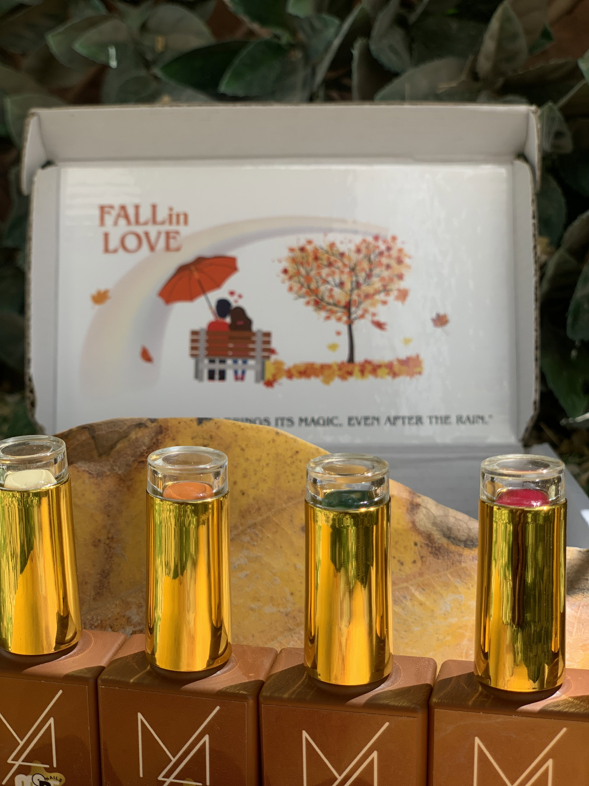 Fall in Love-Autumn Collection _1