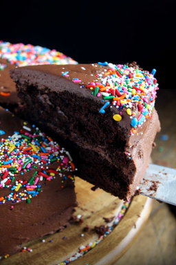 Budget Chocolate Confetti Cake 
