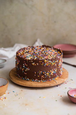 Budget Chocolate Confetti Cake 