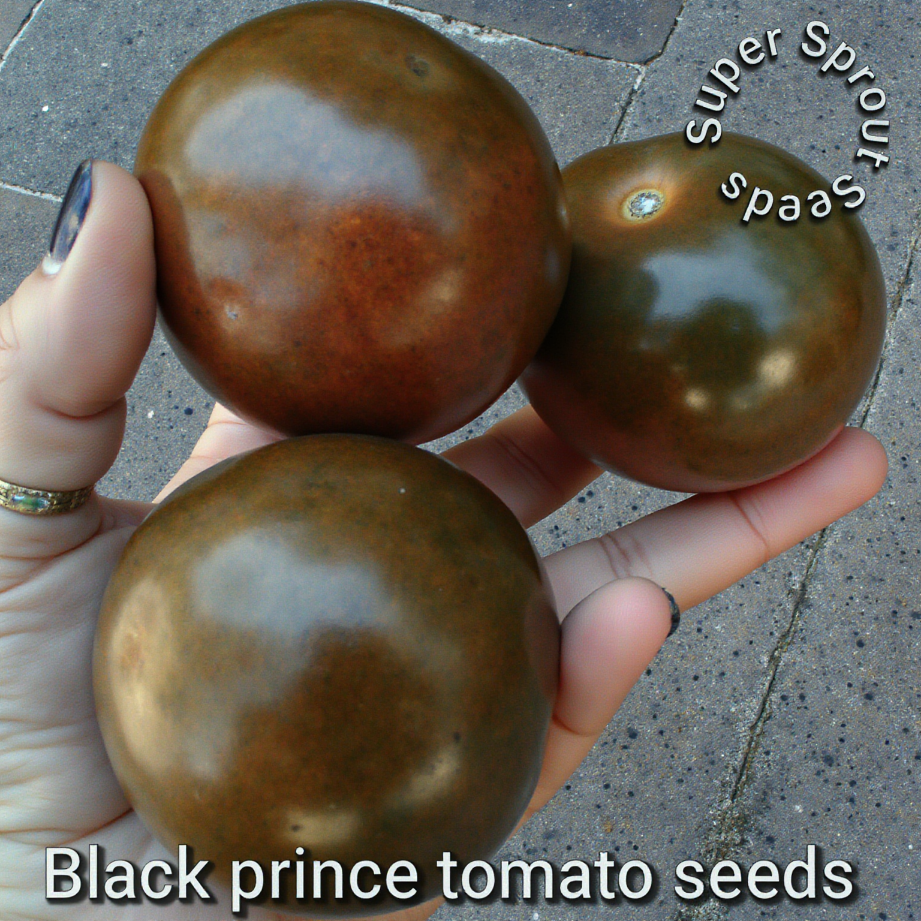🍅BLACK PRINCE TOMATO🍅 x 15 seeds _1