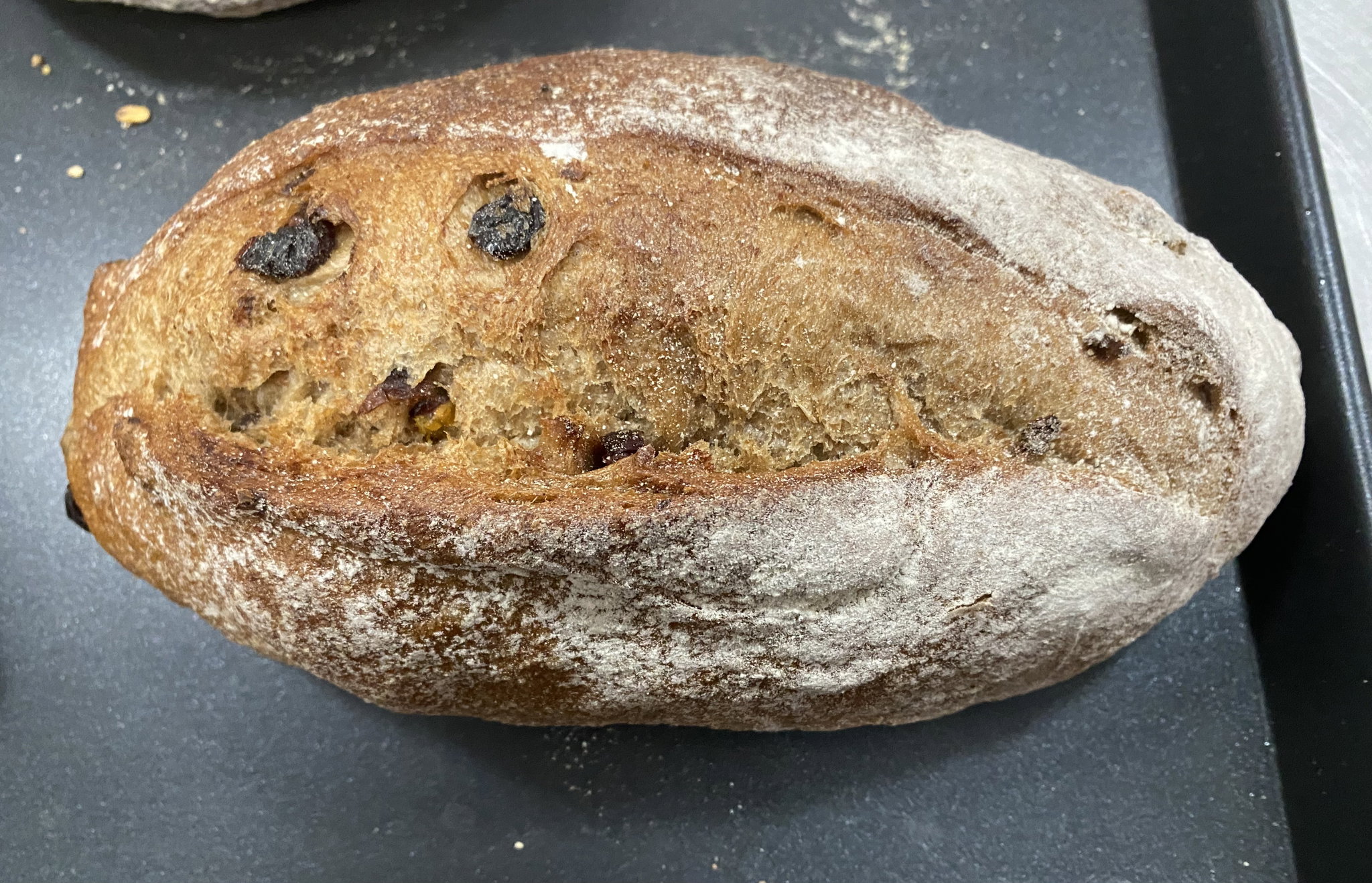 Sourdough (Cranberry Pistachio) 500g_1