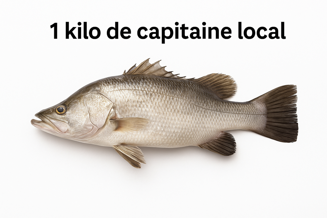 Poisson 🐟 Capitaine Local 1kg PLC0001