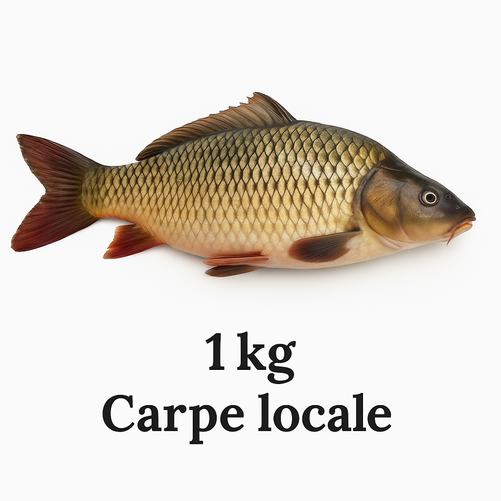 Poisson 🐟 Carpe Local 1kg PLC0002