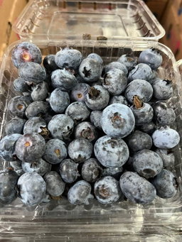 MPS72- Blueberry box