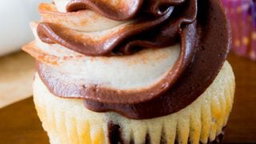 Vanilla Marble Cup Cakes 