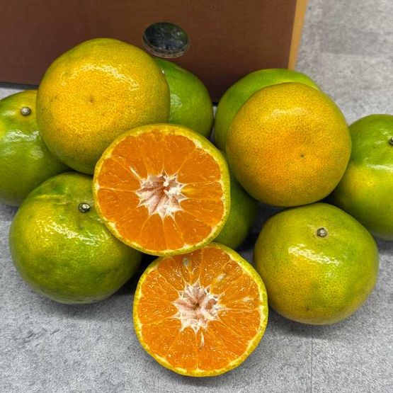 Thai Honey Orange (Sai Nam Phueng Orange)_1