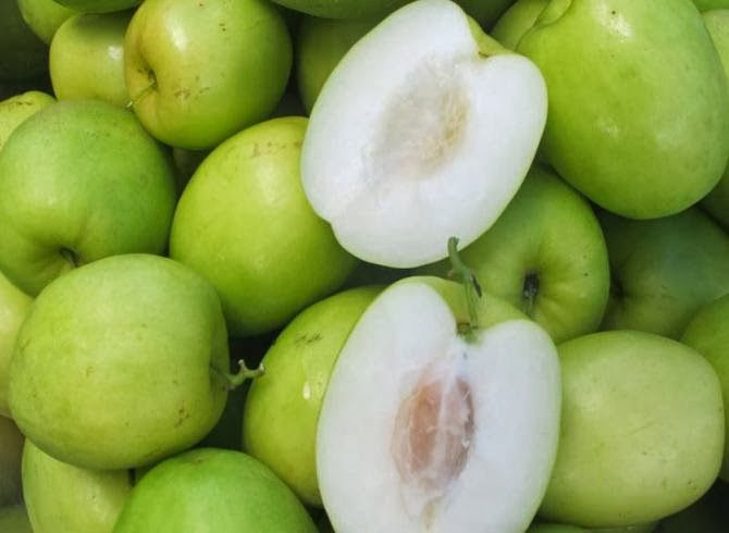 Milk Jujube (Puttra Nod Sod)_2