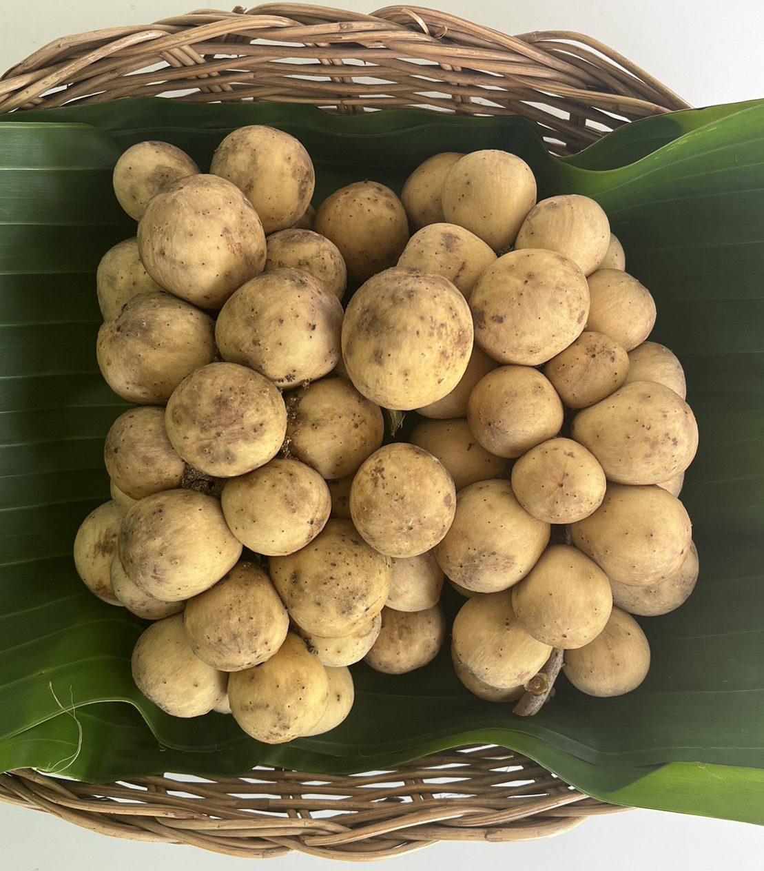 Longkong (Langsat)_2