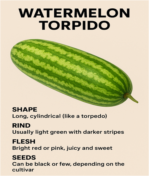 Watermelon, Torpedo_0