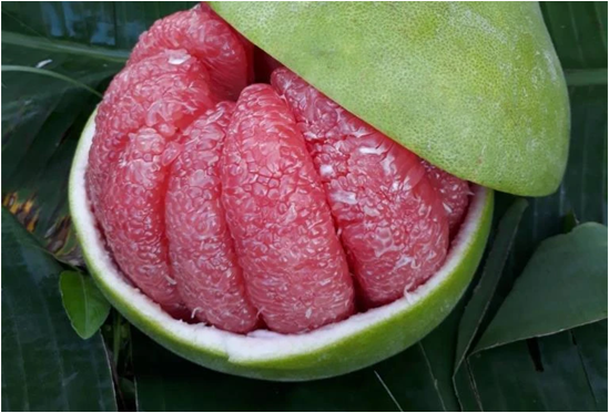 Pomelo, Red (Thap Tim Siam) *Best Seller_1
