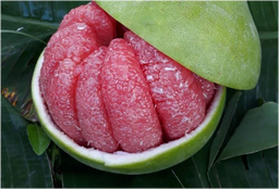 Pomelo, Red (Thap Tim Siam) *Best Seller