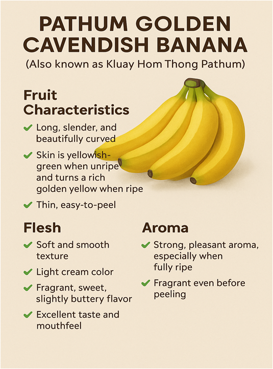 Banana (Thong Pathum)