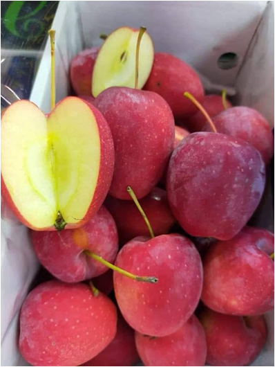 Apple, Princess_2