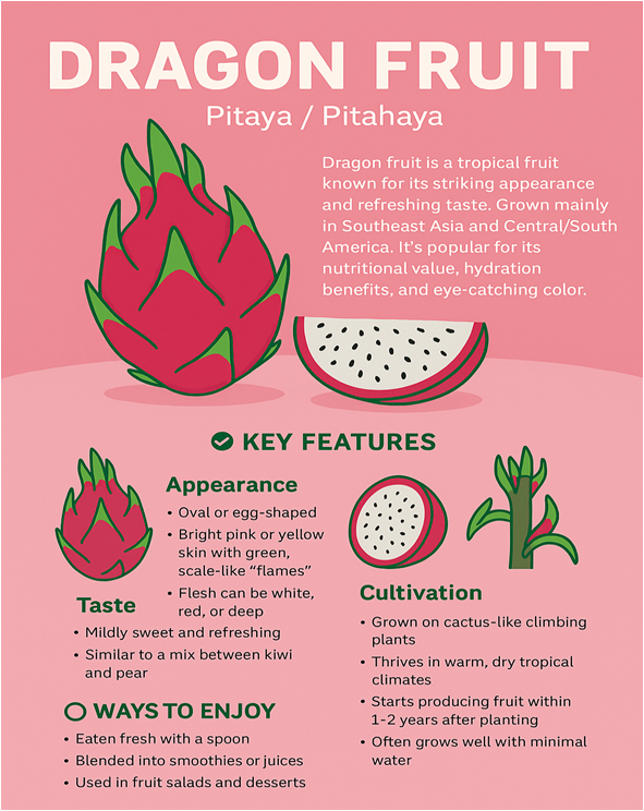 Dragon Fruit (White)